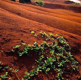 恐怖新游《闹鬼记忆》上架steam 第一人称伪记录风格